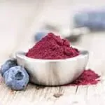 blueberry-powder