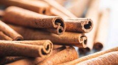 cinnamon-cassia