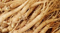 Eleuthero Root