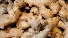 ginger Root