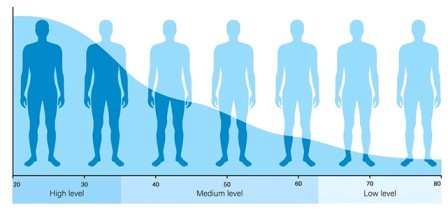 human-high-level