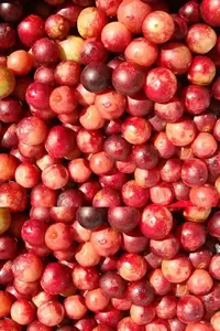 Camu Camu