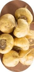Maca Root