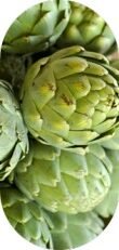 Artichoke Extract